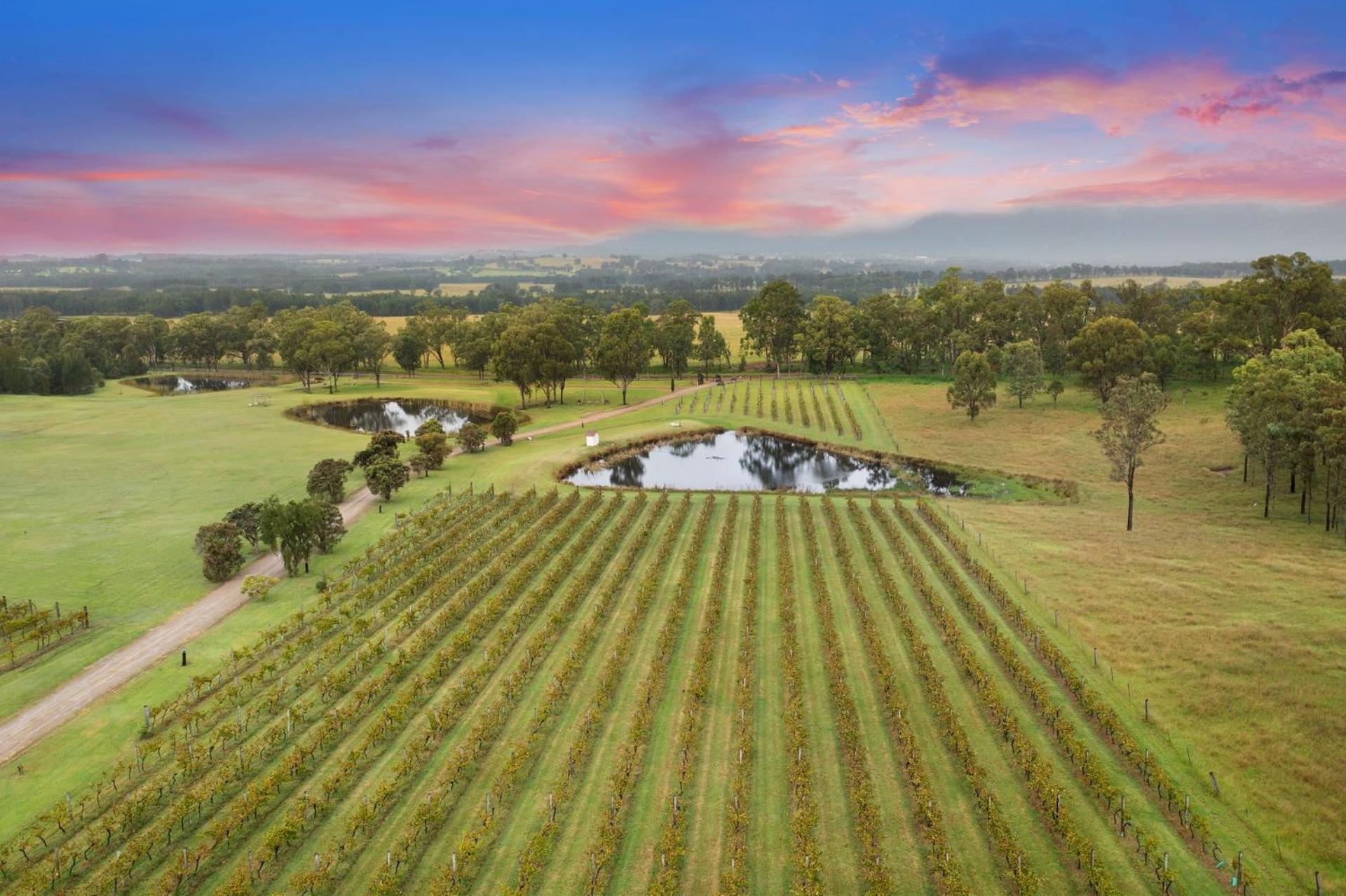 Bracken Ridge Vineyard The Entire Estate Villa Rothbury Екстериор снимка