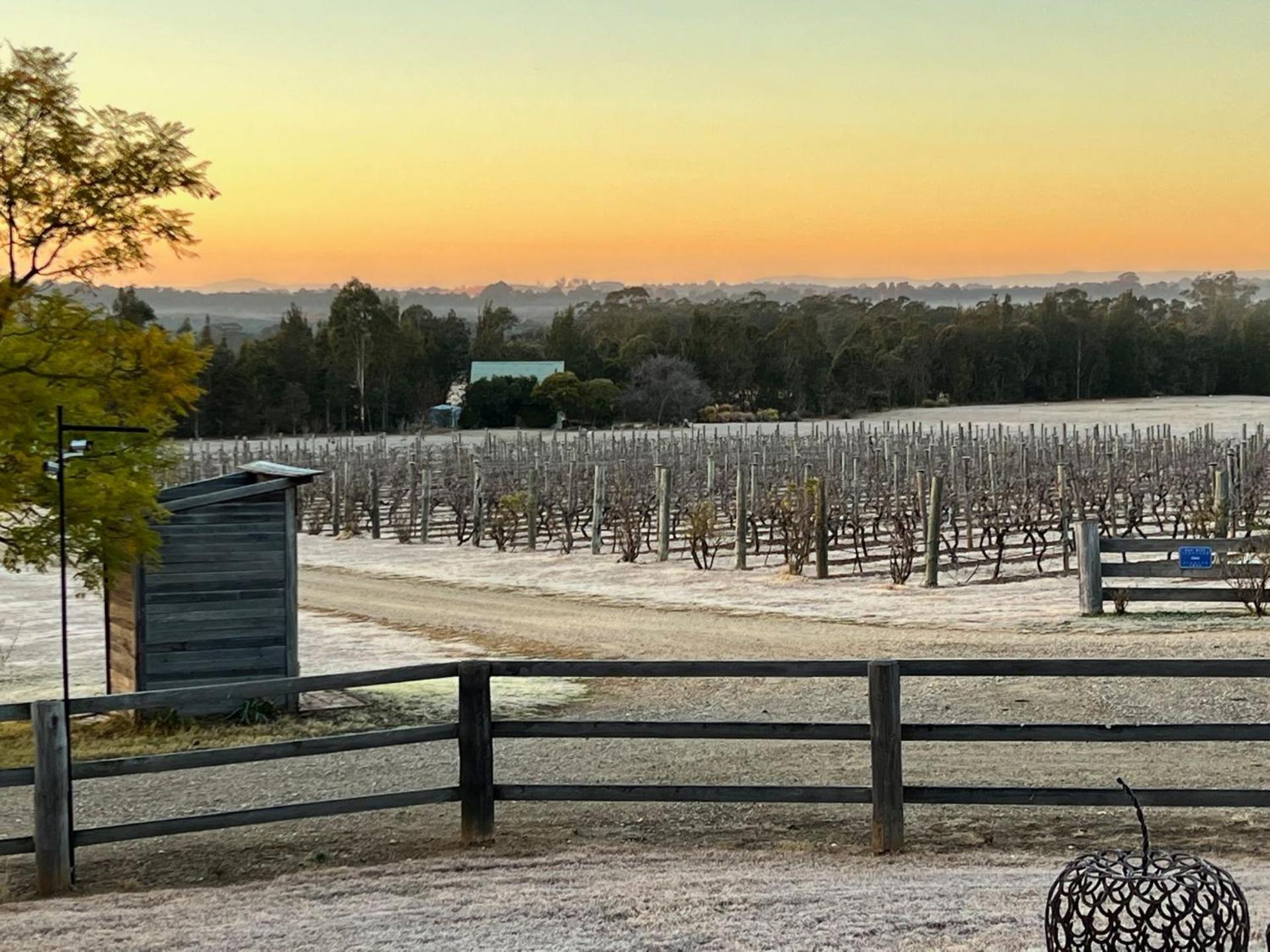 Bracken Ridge Vineyard The Entire Estate Villa Rothbury Екстериор снимка