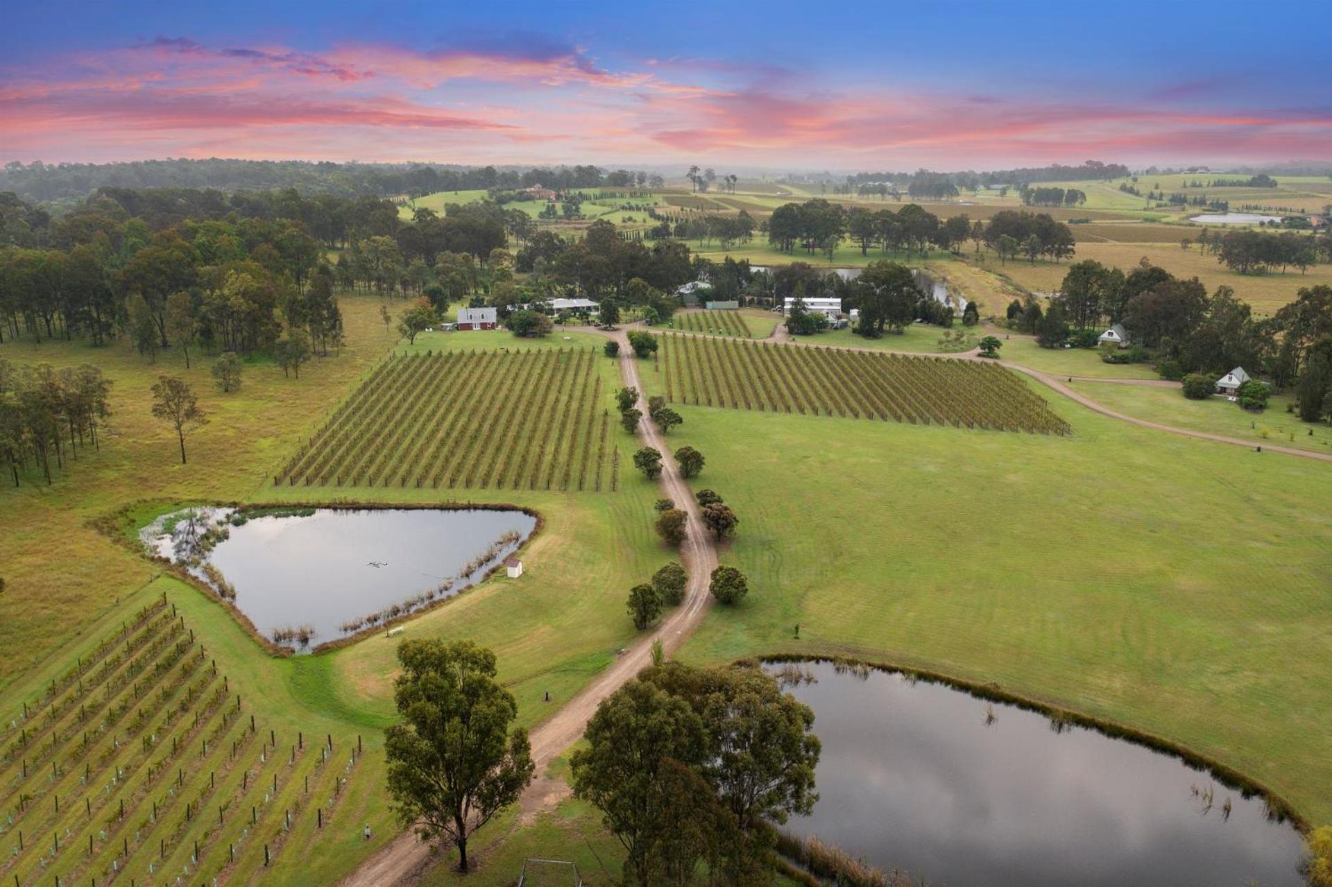 Bracken Ridge Vineyard The Entire Estate Villa Rothbury Екстериор снимка